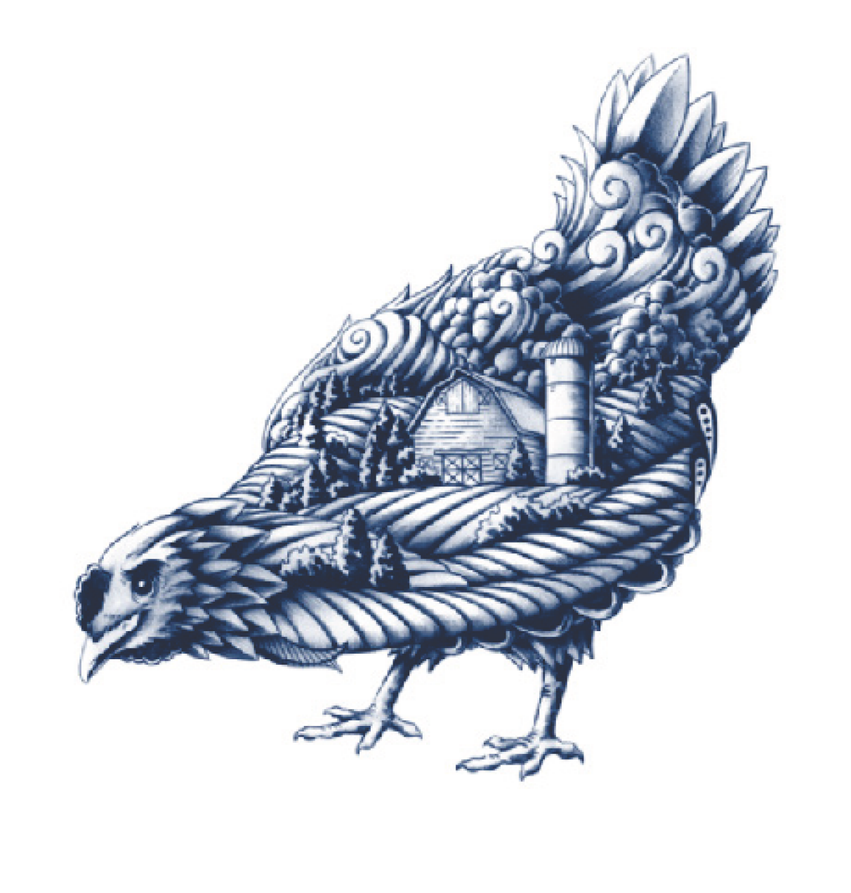 Chicken Eating Illustration